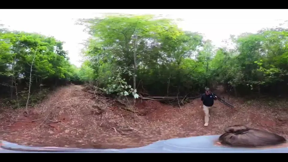 Old Saluda Dam Road property walk