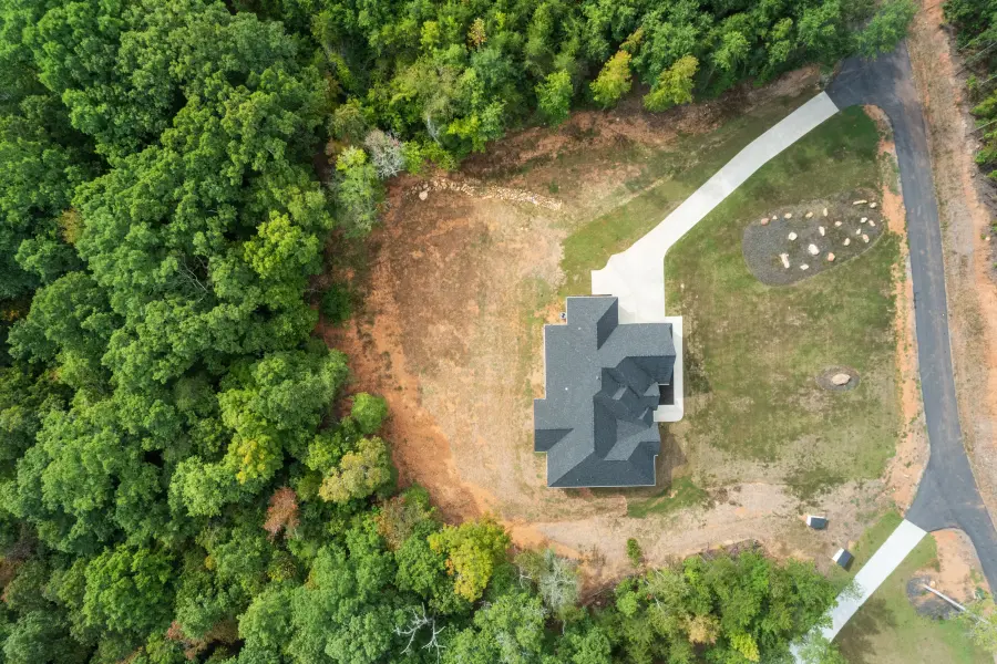 Wooded lot